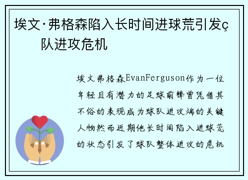 埃文·弗格森陷入长时间进球荒引发球队进攻危机
